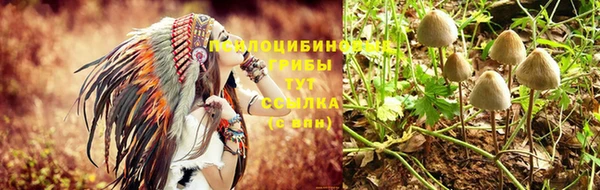 a pvp Богданович