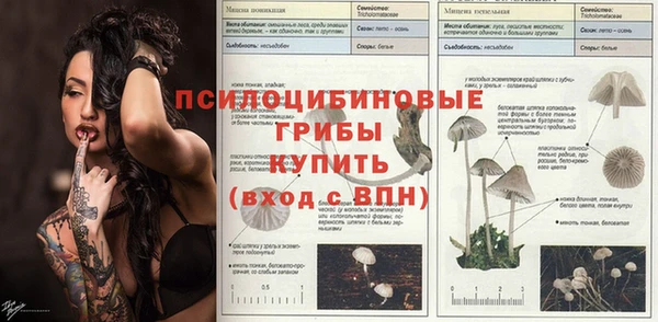 a pvp Богданович