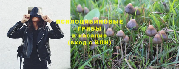 винт Богородск