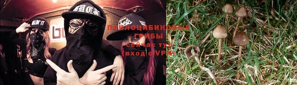 а пвп мука Богородицк